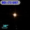 BD+73   607