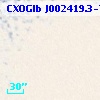 CXOGlb J002419.3-720334