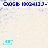 CXOGlb J002413.7-720302
