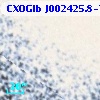CXOGlb J002425.8-720703