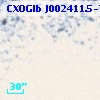 CXOGlb J002411.5-720224