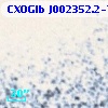 CXOGlb J002352.2-720723