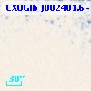 CXOGlb J002401.6-720257