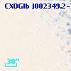 CXOGlb J002349.2-720351
