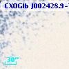 CXOGlb J002428.9-720256