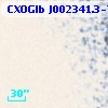 CXOGlb J002341.3-720402