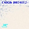 CXOGlb J002417.2-720302