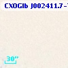 CXOGlb J002411.7-720518
