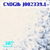 CXOGlb J002339.1-720604