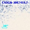 CXOGlb J002418.7-720225