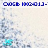 CXOGlb J002431.3-720618