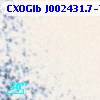 CXOGlb J002431.7-720538