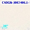 CXOGlb J002406.1-720542