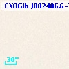 CXOGlb J002406.6-720453