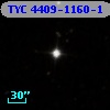 TYC 4409-1160-1