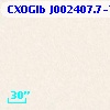 CXOGlb J002407.7-720431