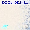 CXOGlb J002341.1-720511