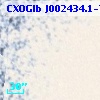 CXOGlb J002434.1-720333