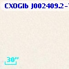 CXOGlb J002409.2-720511