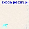 CXOGlb J002351.9-720453