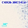 CXOGlb J002342.6-720359