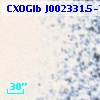 CXOGlb J002331.5-720515