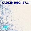 CXOGlb J002437.1-720517