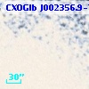 CXOGlb J002356.9-720224