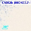 CXOGlb J002422.7-720328