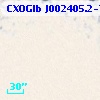 CXOGlb J002405.2-720315