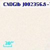 CXOGlb J002356.8-720504