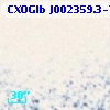 CXOGlb J002359.3-720648
