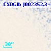 CXOGlb J002352.3-720311