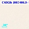 CXOGlb J002406.9-720509