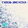 CXOGlb J002429.9-720643