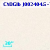 CXOGlb J002404.5-720517