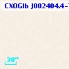CXOGlb J002404.4-720439