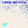 CXOGlb J002358.6-720225