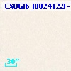 CXOGlb J002412.9-720445