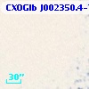 CXOGlb J002350.4-720530