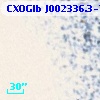 CXOGlb J002336.3-720403