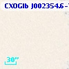CXOGlb J002354.6-720445
