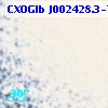 CXOGlb J002428.3-720601