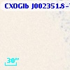 CXOGlb J002351.8-720411