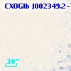 CXOGlb J002349.2-720537