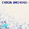CXOGlb J002414.5-720653