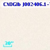 CXOGlb J002406.1-720504