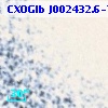 CXOGlb J002432.6-720622