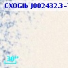 CXOGlb J002432.3-720350