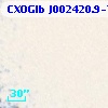 CXOGlb J002420.9-720518